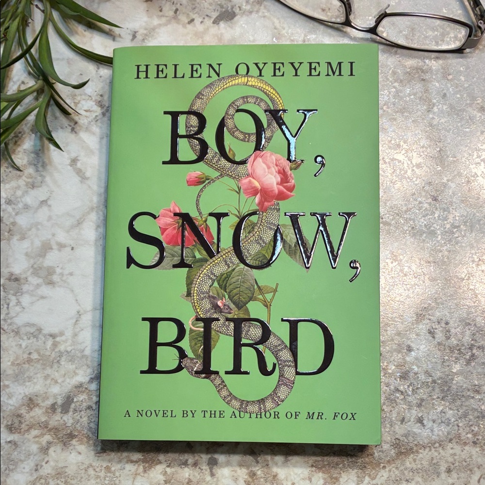 Boy, Snow, Bird Novel by Helen Oyeyemi; Fiction; African American; Literature - Picture 1 of 5
